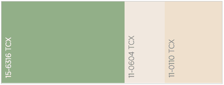paleta verde
