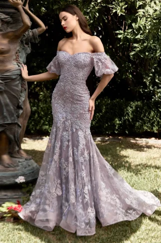 puff-sleeve-lace-mermaid-dress-529623